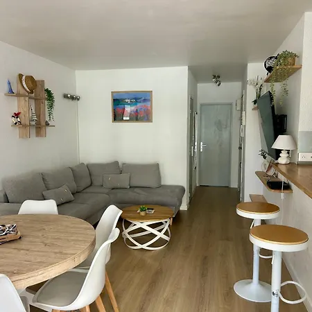 Climatisé Et Spacieux Avec Terrasse Et Vue Sur Le Port Capacité 6 Personnes Appartement Agde